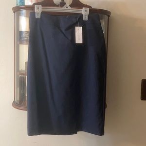 Ann Taylor Pencil Skirt
